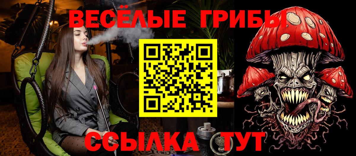 Галлюциногенные грибы GOLDEN TEACHER  Вход с VPN  Кандалакша 