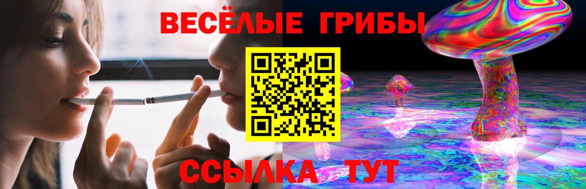 Галлюциногенные грибы GOLDEN TEACHER Кандалакша